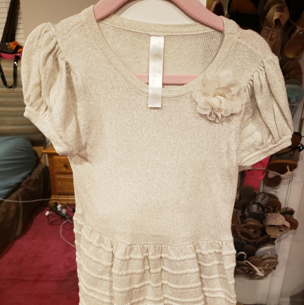 Adorable Toddler Girls Dress